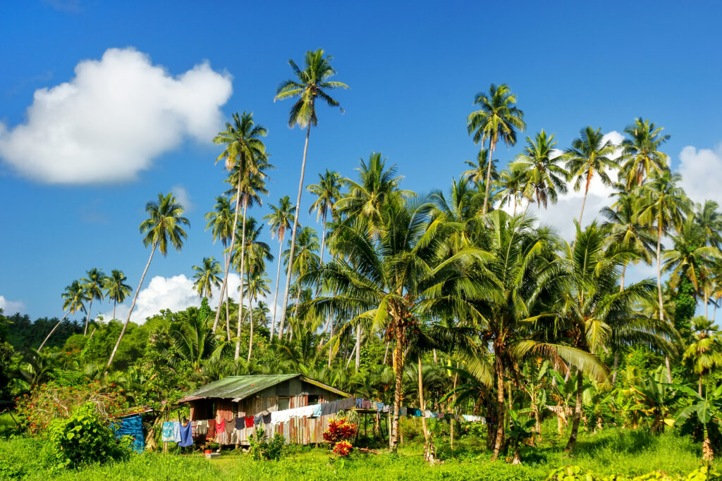 Local Village Fiji