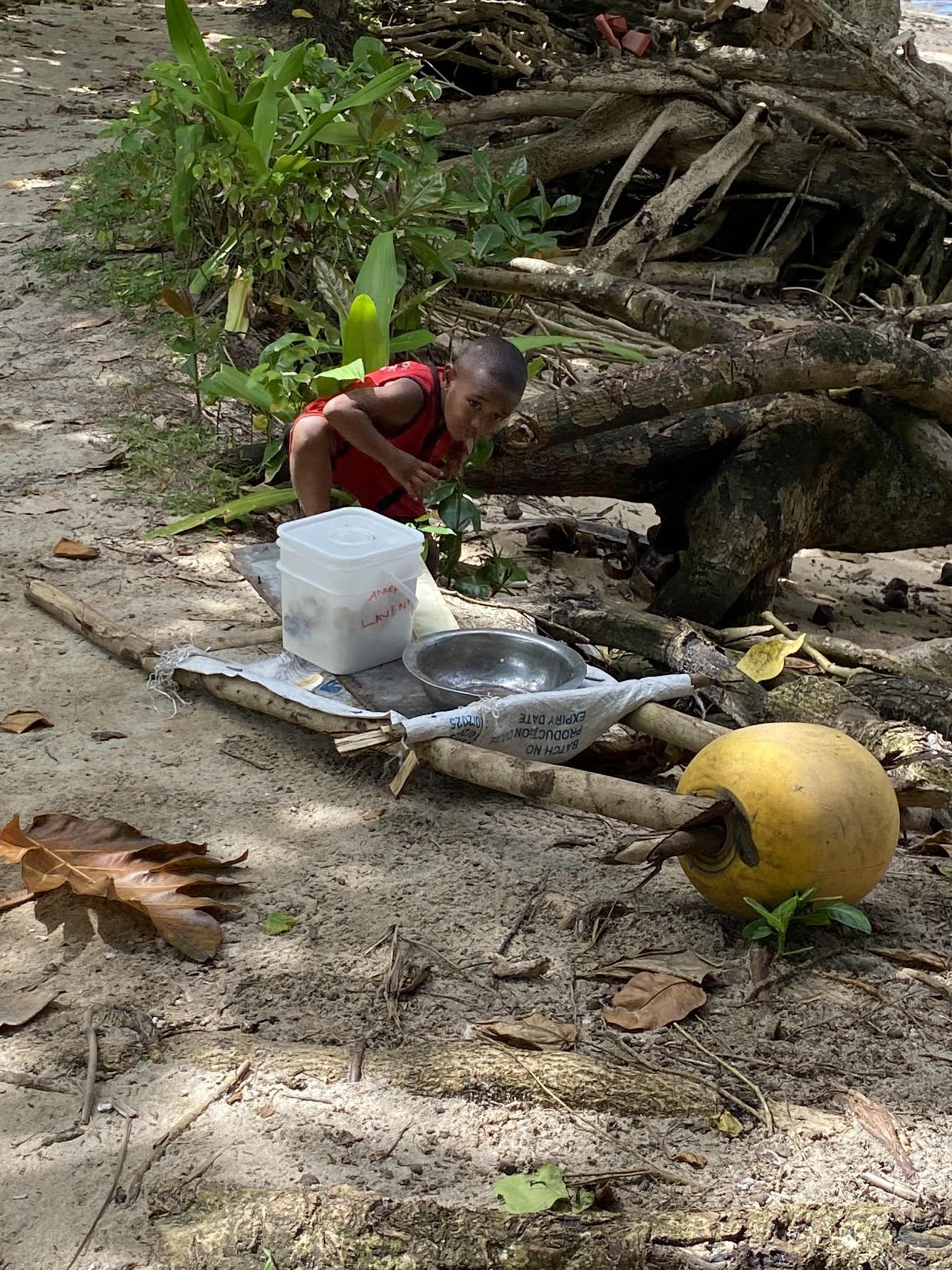 Lavenua Taveuni. Child with homemade coconut wheelbarrow